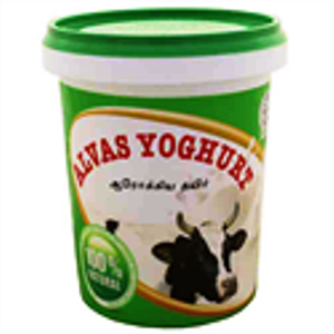 Alvas Yogurt 500ml