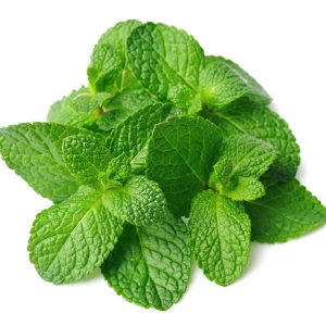 Mint Leaves / Puthina 50g