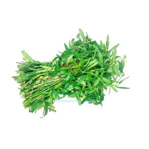 Ponnankanni Keerai 200g