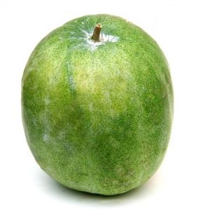 Ash Gourd 1pc
