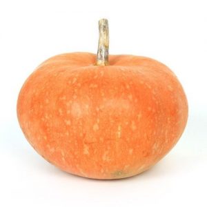 Pumpkin 1pc