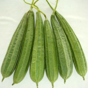 Ridge Gourd 1kg