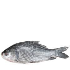 Fresh fish 1kg