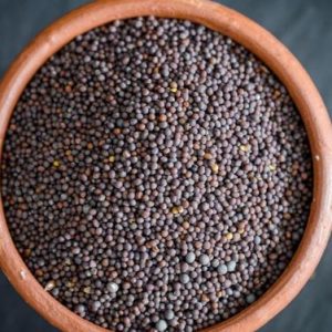 Mustard Seeds 500g