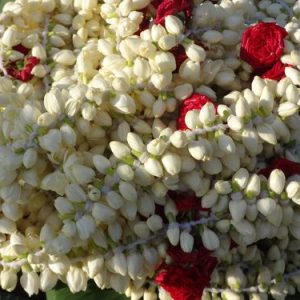 JASMINE FLOWER 1 BUNCH (பந்து)மல்லிகை பூ