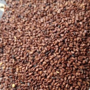 Sesame Seeds 500g